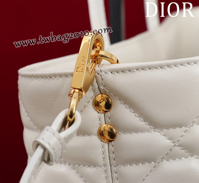 Dior专柜2023新款迪奥高仿原单Dior Toujours手袋手提购物包 djfk1600